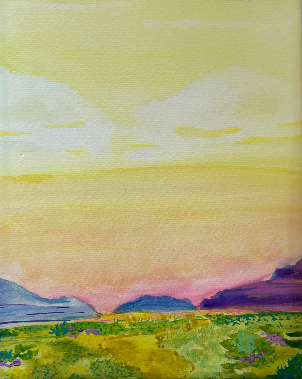 Desert Evening